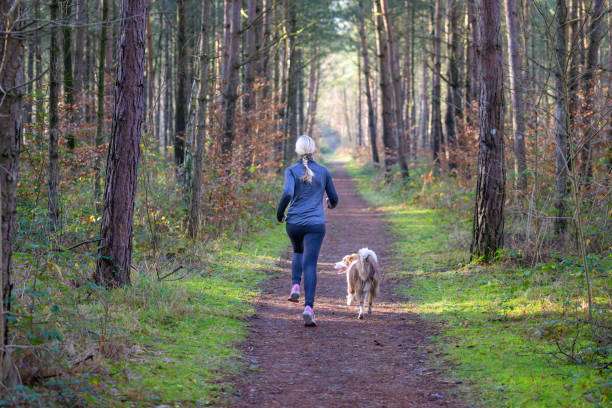 Joggerin mit Hund auf einem Waldweg